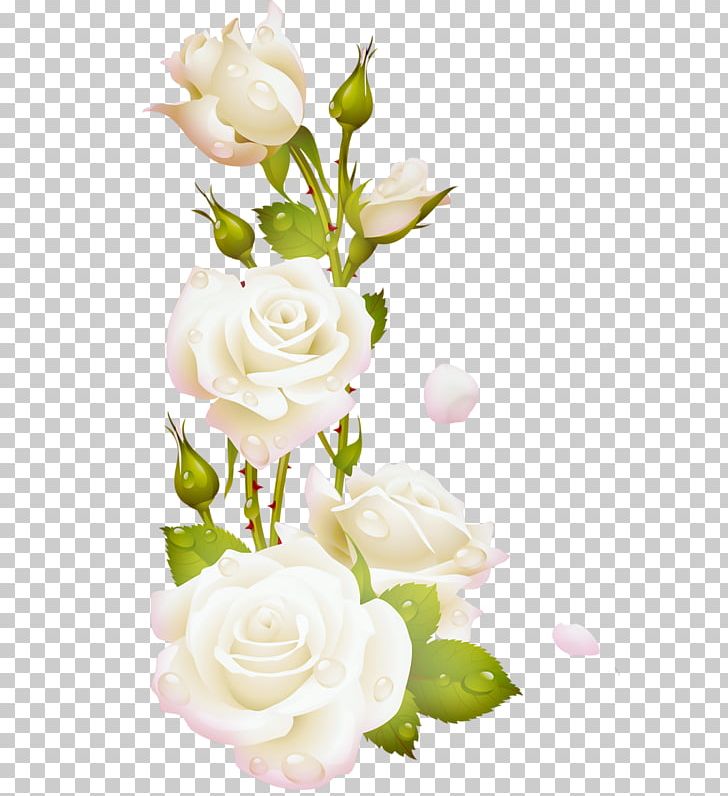 Garden Roses Cabbage Rose Cut Flowers PNG, Clipart, Aculi, Artificial Flower, Cut Flowers, Floral Design, Floristry Free PNG Download