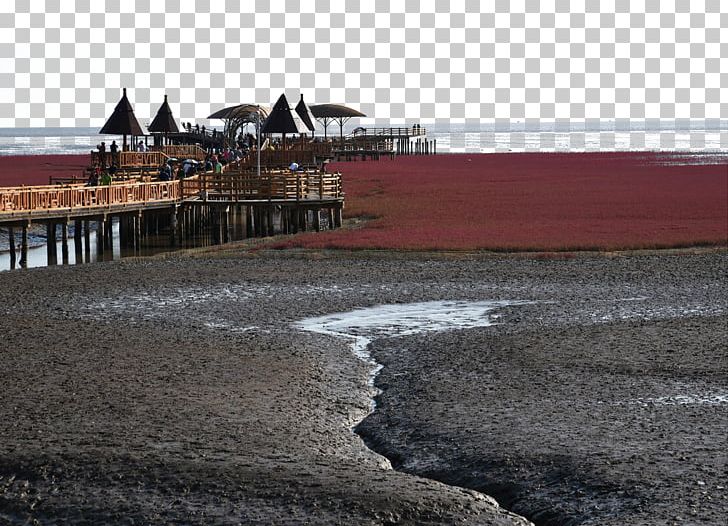 Red Beach Panjin Honghaitan Hong Kong Wetland Park PNG, Clipart, Attractions, Beach, China, Fig, Landscape Free PNG Download