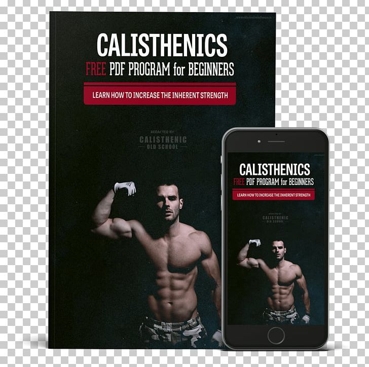 Calisthenics Exercise Bodybuilding Weight Training Dip PNG, Clipart, Beginner, Bodybuilding, Book, Bulk, Calisthenics Free PNG Download