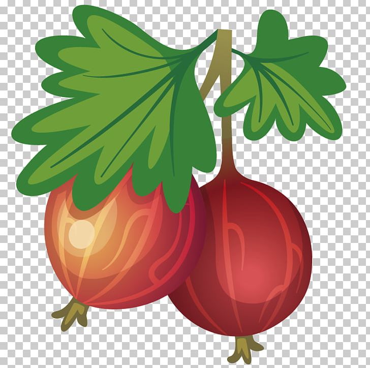 Pomegranate PNG, Clipart, Branches And Leaves, Cooking, Dining, Drawing, Food Free PNG Download