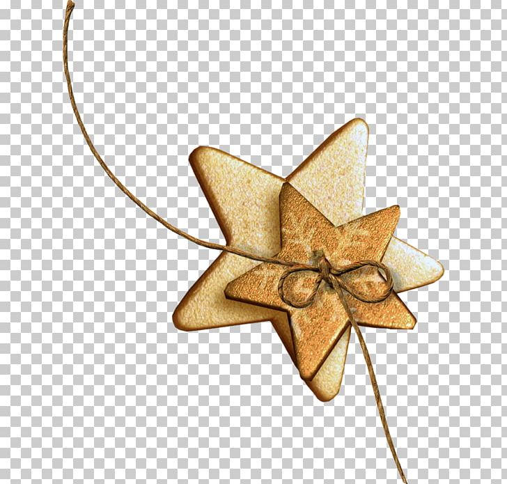 Star Christmas Ornament Photography PNG, Clipart, Boat, Christmas, Christmas Ornament, Fifilles, Kiara Free PNG Download