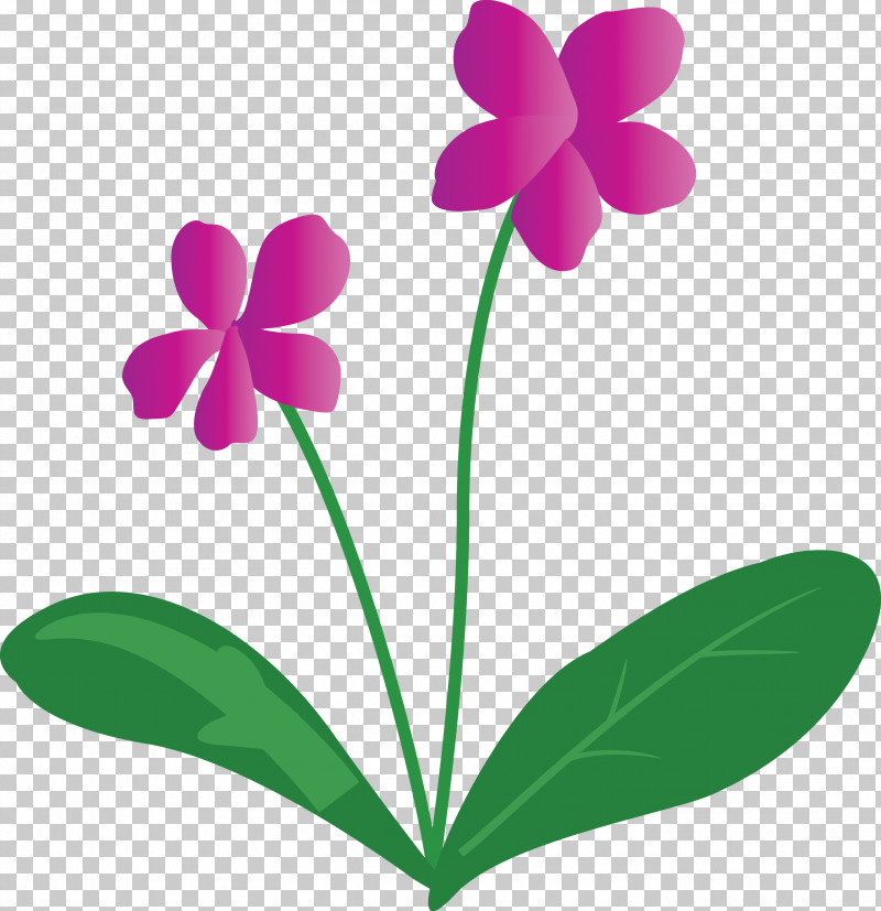 Violet Flower PNG, Clipart, Biology, Flora, Flower, Herbaceous Plant, Leaf Free PNG Download