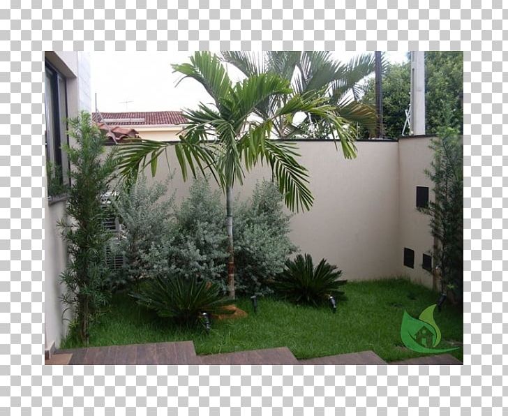 Arecaceae Backyard Property Grasses Shrub PNG, Clipart, Arecaceae, Arecales, Backyard, Courtyard, Evergreen Free PNG Download