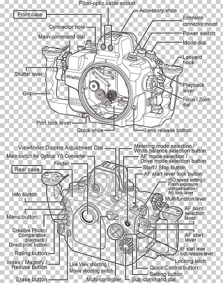 canon 5d clipart