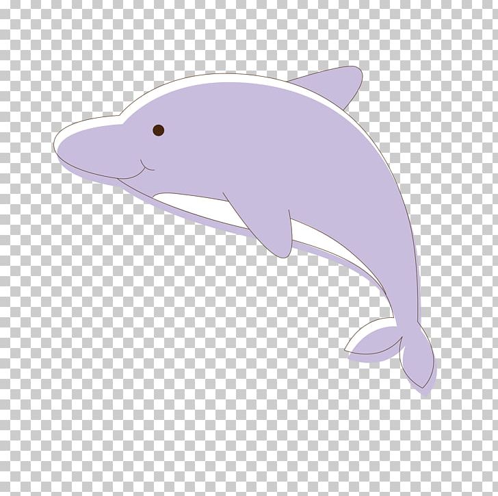 Tucuxi Common Bottlenose Dolphin Spinner Dolphin PNG, Clipart, Animals, Dolphins, Fauna, Fin, Happy Birthday Vector Images Free PNG Download
