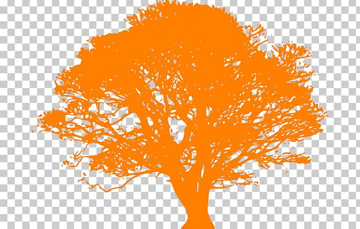 Quercus Velutina Tree PNG, Clipart, Branch, Cartoon Orange Tree, Computer Icons, Free Content, Leaf Free PNG Download