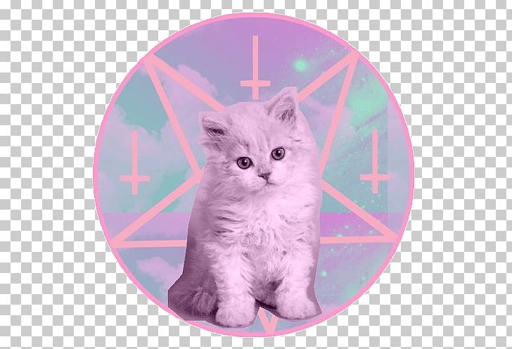 Kitten Cat Satanism Devil PNG, Clipart, Animals, Baphomet, British Semi Longhair, Carnivoran, Cat Free PNG Download