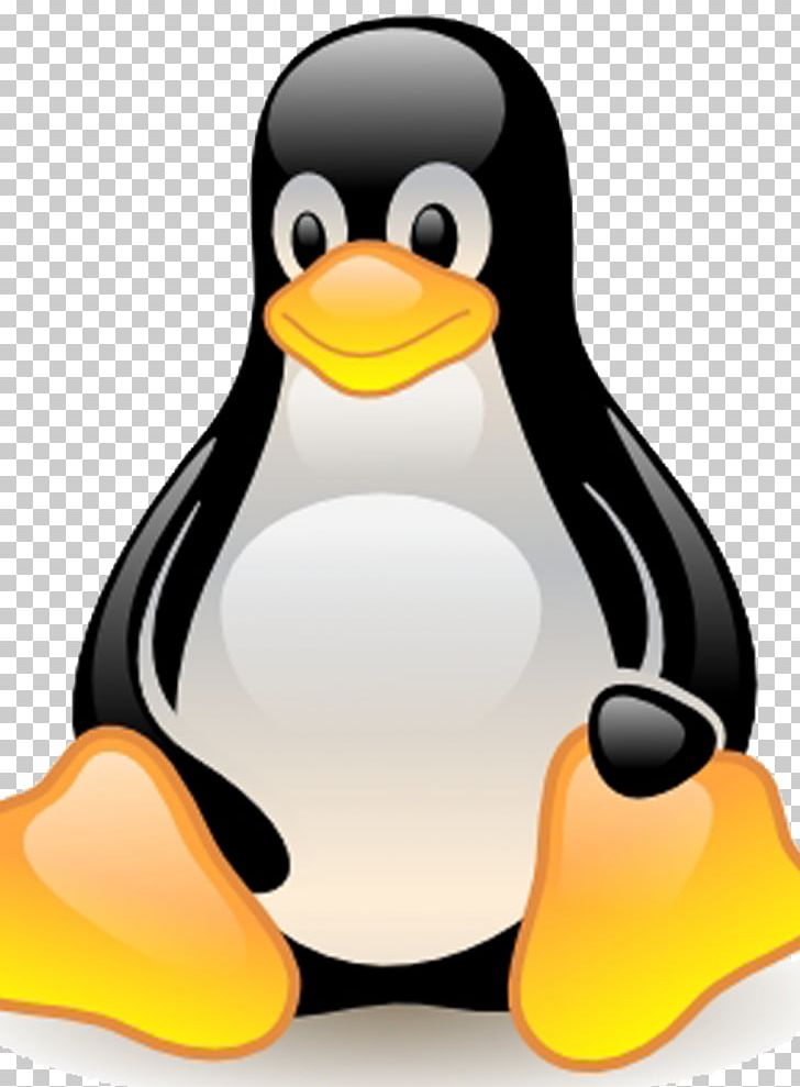 Linux Computer Software Operating Systems Windows Server PNG, Clipart, Arch Linux, Beak, Bird, Computer Servers, Computer Software Free PNG Download