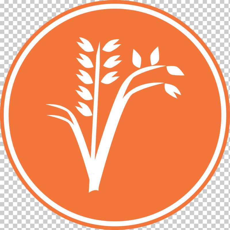 Oats Wheat Oats Logo PNG, Clipart, Area, Line, Logo, M, Meter Free PNG Download