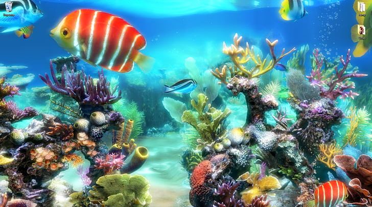 Aquariums Coral Reef Akwarystyka Morska PNG, Clipart, Akwarystyka ...