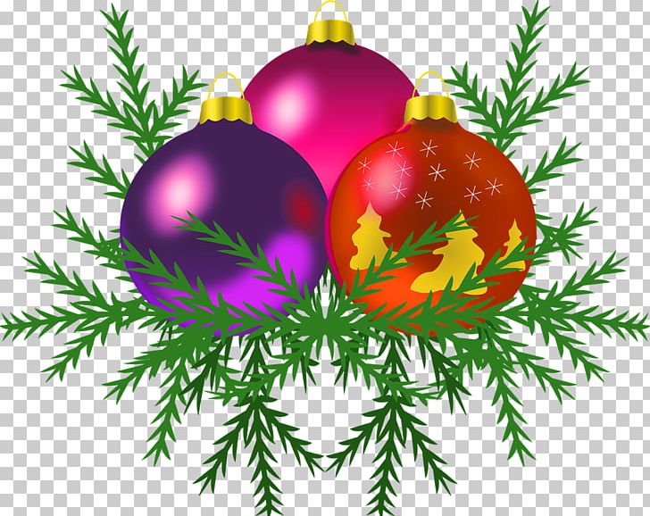 Christmas Ornament PNG, Clipart, Branch, Christmas, Christmas Card, Christmas Decoration, Christmas Ornament Free PNG Download