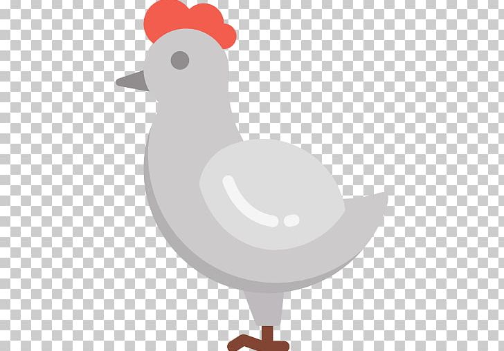 Computer Icons Encapsulated PostScript PNG, Clipart, Animals, Beak, Bird, Chicken, Computer Icons Free PNG Download