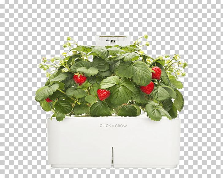 Grow Light Strawberry Garden Herb Greenhouse PNG, Clipart, Basil, Cut Flowers, Flower, Flowerpot, Fragaria Free PNG Download