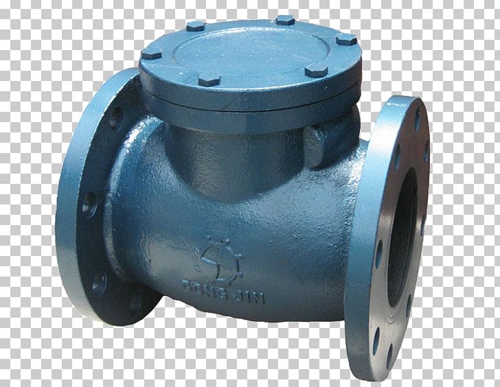Stainless Steel Check Valve Nominal Pipe Size PNG, Clipart, Cast Iron, Check Valve, Dong Nguyen, Flange, Gas Free PNG Download