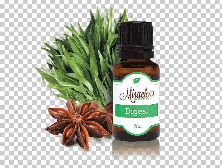 Essential Oil Carrier Oil Aromatherapy Citral PNG, Clipart, Anethole, Anise, Aromatherapy, Carrier Oil, Cinnamon Free PNG Download