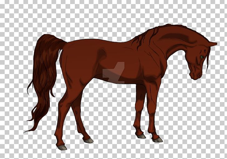 Foal Mane Stallion Mare Colt PNG, Clipart, Bridle, Colt, Foal, Halter, Horse Free PNG Download