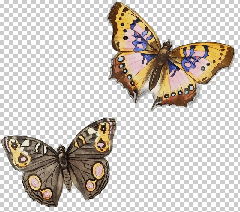 Monarch Butterfly PNG, Clipart, Brushfooted Butterflies, Monarch Butterfly, Moth, Paint, Pieridae Free PNG Download