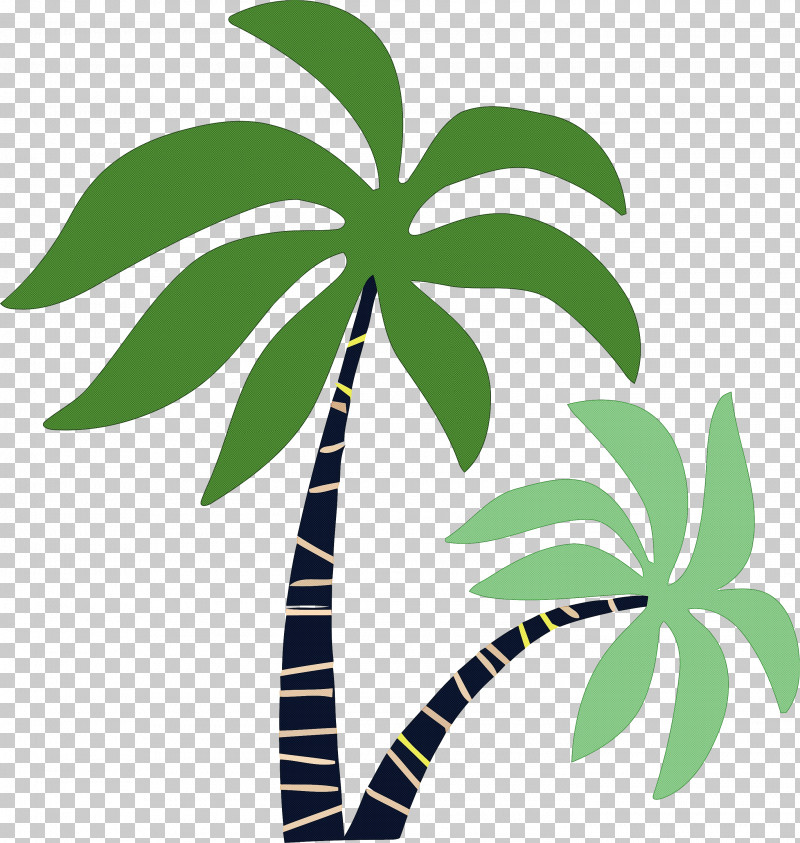 Palm Trees PNG, Clipart, Arecales, Biology, Geometry, Leaf, Line Free PNG Download
