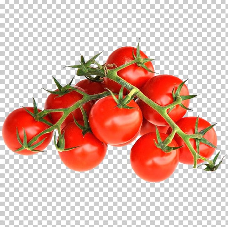 Plum Tomato Cherry Tomato Bush Tomato Cauliflower PNG, Clipart, Brassica Oleracea, Bush Tomato, Cauliflower, Cherry, Cherry Tomato Free PNG Download