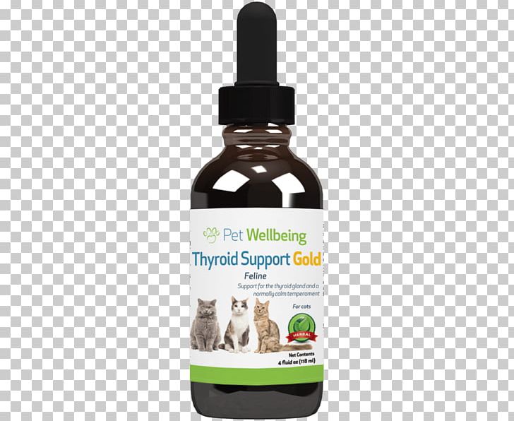 Cat Dog Pet Felidae Dietary Supplement PNG, Clipart, Adrenal Gland, Animals, Arthritis, Blood, Blood Sugar Free PNG Download