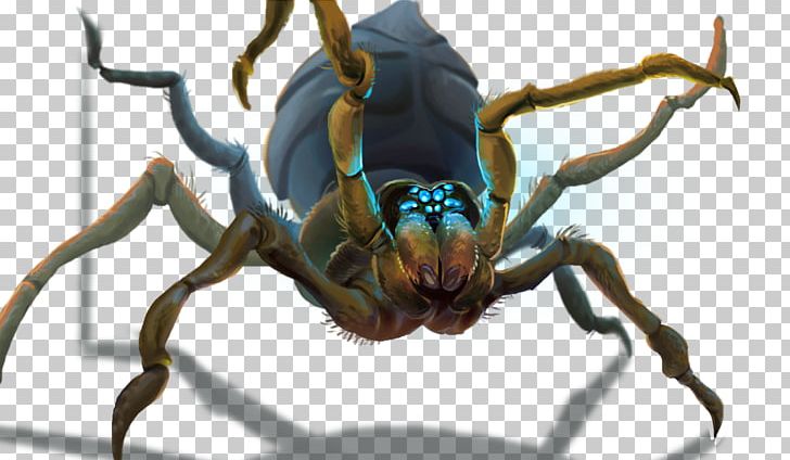 RuneScape Insect Game Arthropod Animal PNG, Clipart, Animal, Animals, Arachnid, Arthropod, Community Free PNG Download