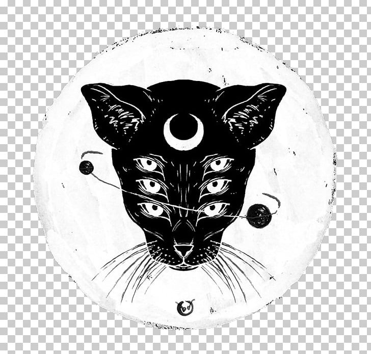 Black Cat Drawing PNG, Clipart, Animals, Art, Avatan, Avatan Plus, Big Cats Free PNG Download