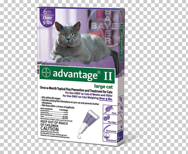 Cat Flea Treatments Dog Imidacloprid/permethrin/pyriproxyfen Kitten PNG, Clipart, Bayer, Cat, Cat Flea, Cat Like Mammal, Dog Free PNG Download