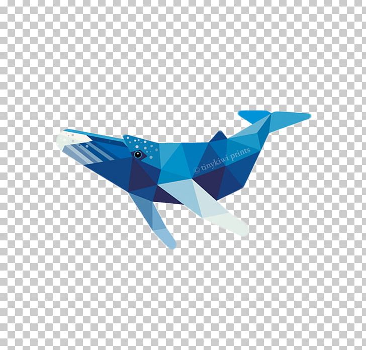 Geometry Baleen Whale PNG, Clipart, Aircraft, Airline, Airplane, Air Travel, Animal Free PNG Download