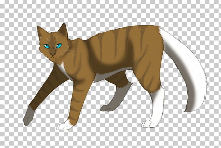 Kitten Whiskers Domestic Short-haired Cat Wildcat Warriors PNG, Clipart, Animal Figure, Animals, Carnivoran, Cat, Cat Like Mammal Free PNG Download