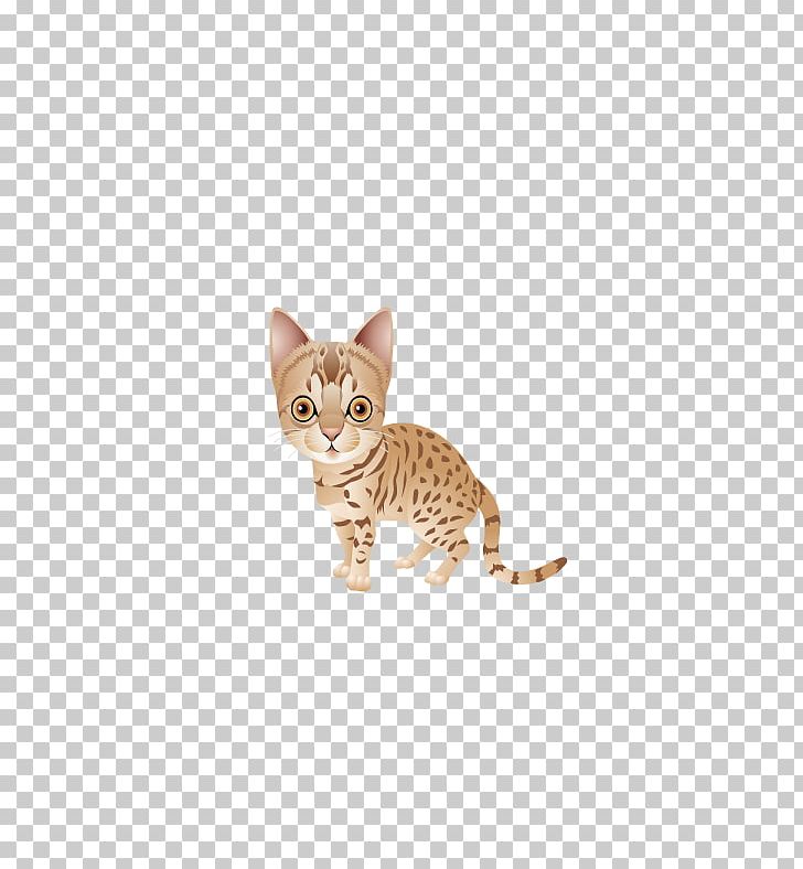 Ocicat Bengal Cat Savannah Cat California Spangled Kitten PNG, Clipart, Animals, Beige, Bengal, Bengal Cat, Black Cat Free PNG Download