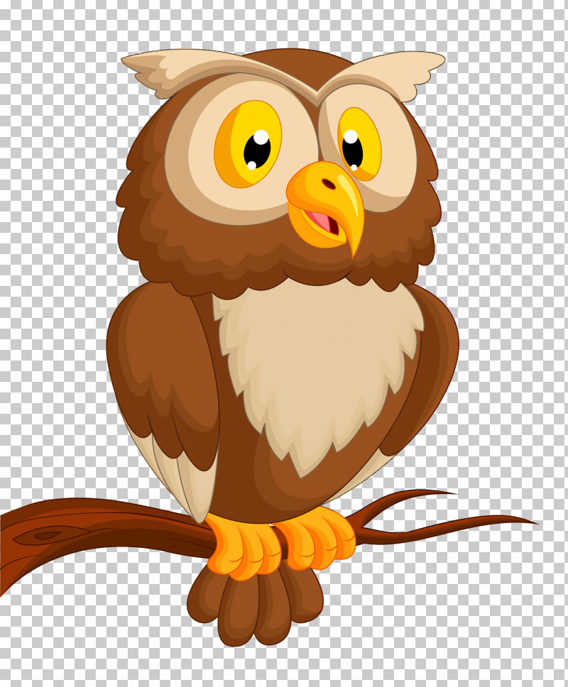 Owl Bird Cartoon Bird Of Prey Beak PNG, Clipart, Beak, Bird, Bird Of Prey, Cartoon, Owl Free PNG Download