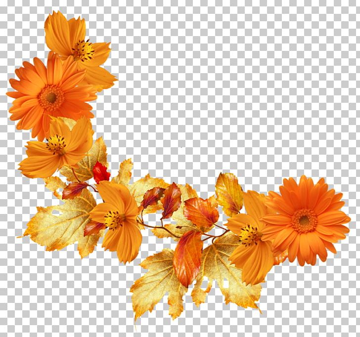 Autumn Leaf Color Flower Frames PNG, Clipart, Autumn, Autumn Leaf Color, Branch, Calendula, Clip Art Free PNG Download