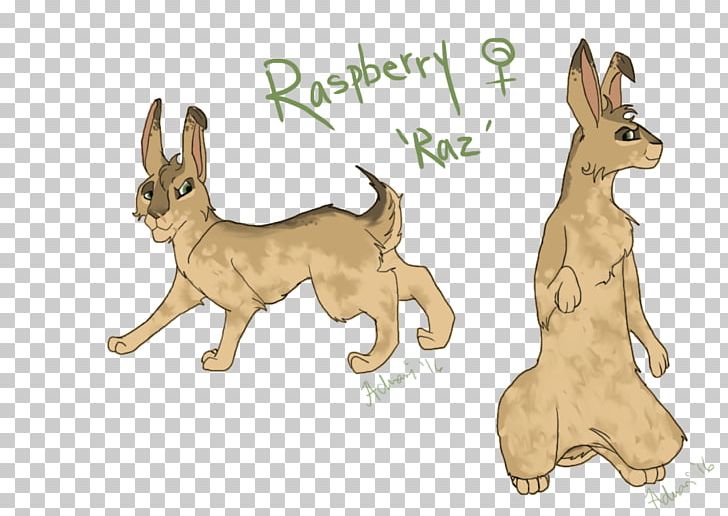 Dog Breed Domestic Rabbit Hare Macropods PNG, Clipart, Breed, Carnivoran, Cartoon, Dog, Dog Breed Free PNG Download