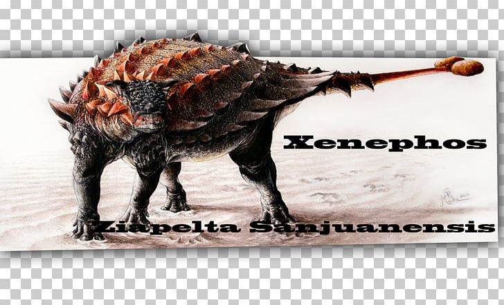 University Of Alberta Dinosaur Provincial Park Ziapelta Euoplocephalus Late Cretaceous PNG, Clipart, Advertising, Alberta, Ankylosauria, Ankylosauridae, Armour Free PNG Download