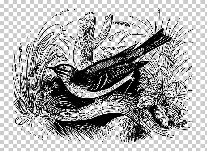 Wren Bird Evidence Of Absence Superstition PNG, Clipart, Animals, Art, Artwork, Beak, Bird Free PNG Download