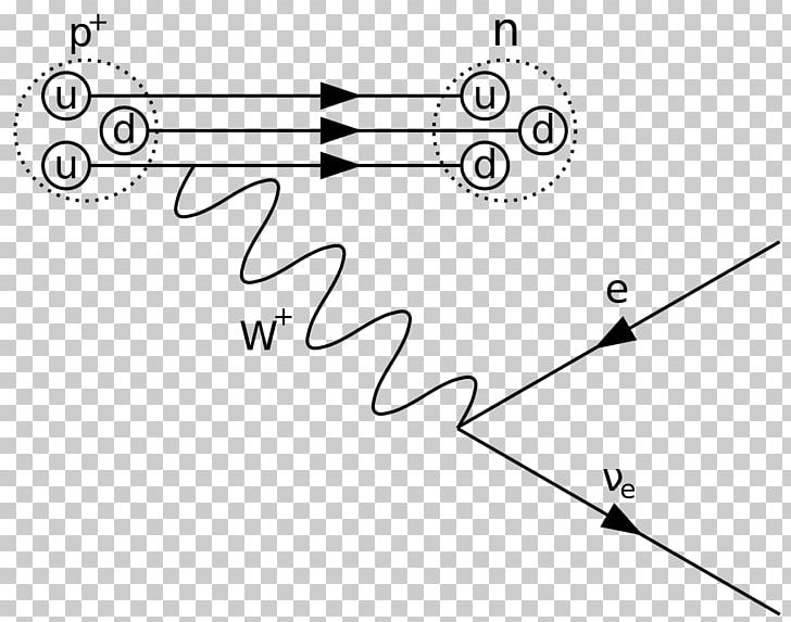 Feynman Diagram Beta Decay Physics Beta Particle PNG, Clipart, Angle, Area, Beta Decay, Beta Particle, Black Free PNG Download