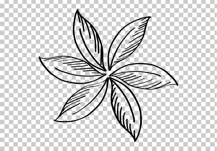 Flower Drawing PNG, Clipart, Area, Artwork, Black And White, Butterfly, Desktop Wallpaper Free PNG Download