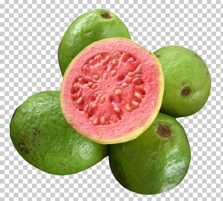 Juice Guava Jelly Tropical Fruit PNG, Clipart, Apple, Citric Acid, Citrus, Common Guava, Diet Food Free PNG Download