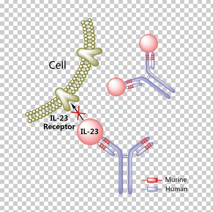 Mepolizumab Interleukin 5 Monoclonal Antibody Asthma PNG, Clipart, Aceclofenac, Angle, Antibody, Asthma, Bevacizumab Free PNG Download