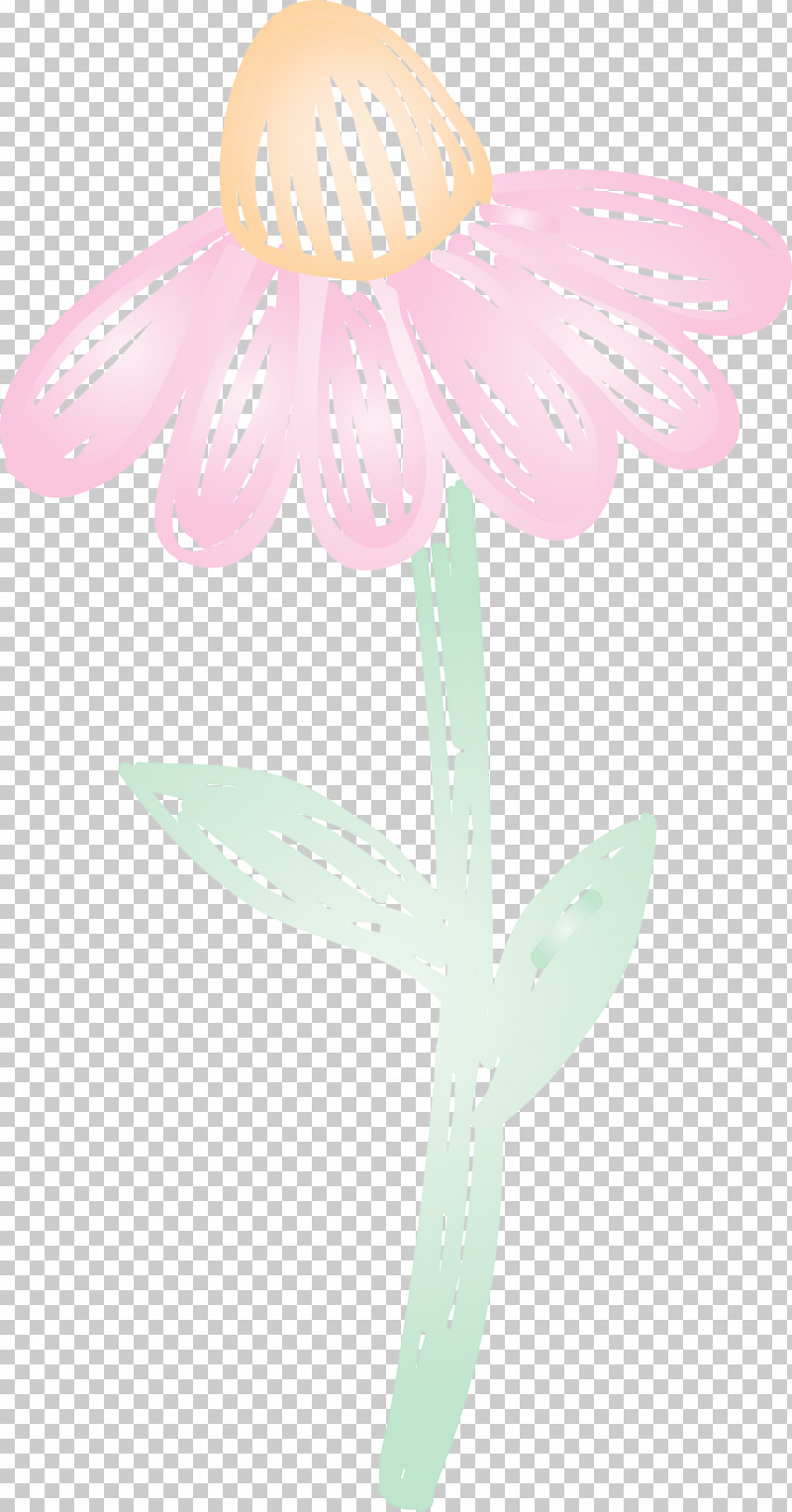 Mexico Elements PNG, Clipart, Biology, Fairy, Flower, Mexico Elements, Petal Free PNG Download