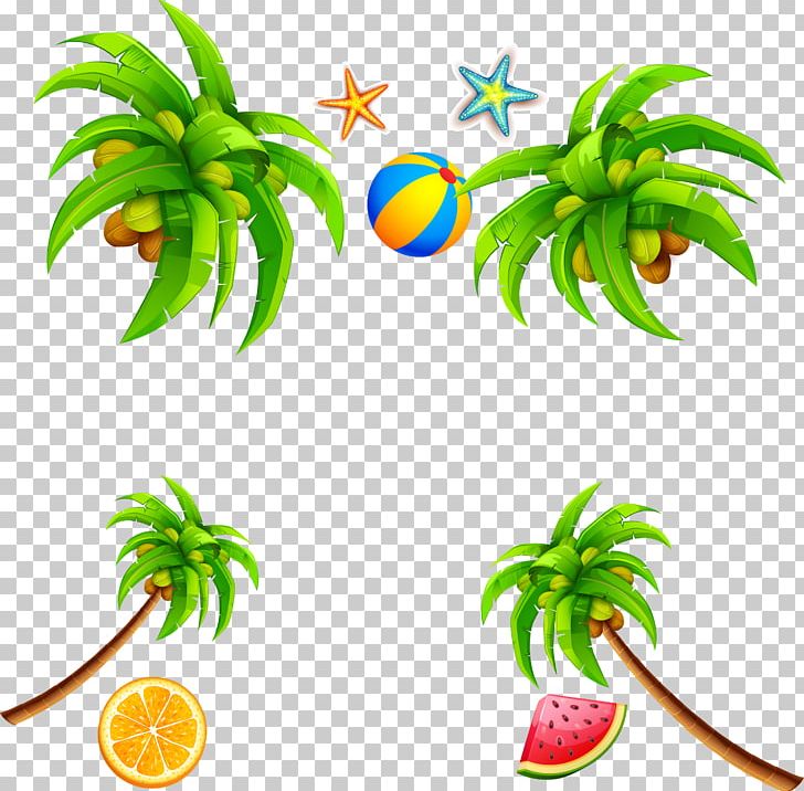 Coconut Leaf PNG, Clipart, Adobe Illustrator, Cartoon, Christmas Tree, Coconut Tree, Coconut Vector Free PNG Download