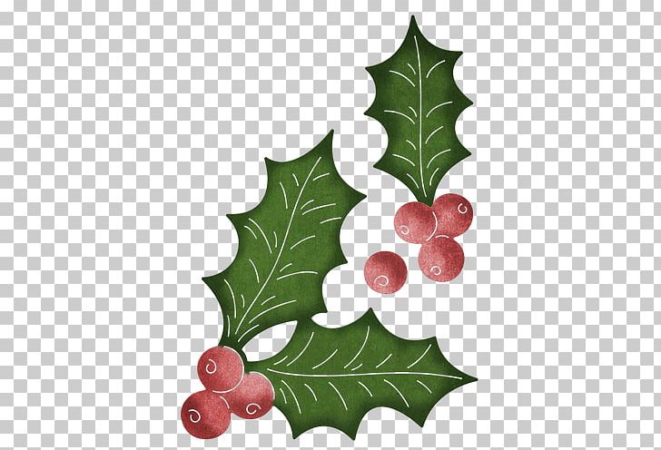 Leaf Cheery Lynn Designs Die Common Holly Aquifoliales PNG, Clipart, Aquifoliaceae, Aquifoliales, Autumn Leaf Color, Cheery Lynn Designs, Common Holly Free PNG Download