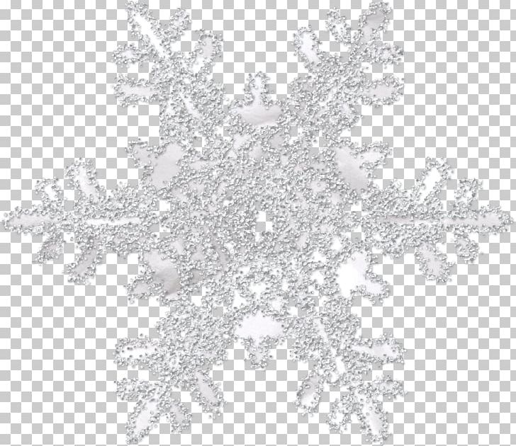 Snowflake Christian Connolly PNG, Clipart, Black And White, Christmas Ornament, Design, Digital Image, Free Free PNG Download