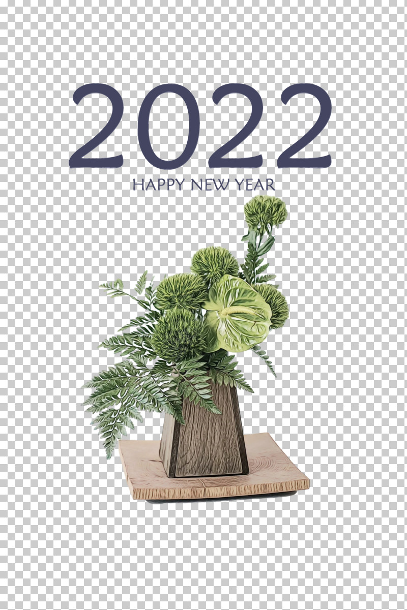 Floral Design PNG, Clipart, Bonsai, Claro, Color, Fern, Flora Free PNG Download