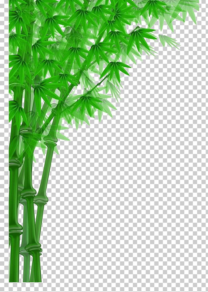 Bamboo Chopsticks PNG, Clipart, 2d Computer Graphics, 3d Computer Graphics, Bamboo Leaves, Branch, Cartoon Character Free PNG Download