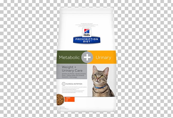 Cat Food Felidae Hill's Pet Nutrition Dog PNG, Clipart,  Free PNG Download