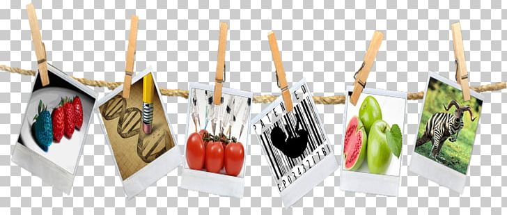 Genetically Modified Food Genetically Modified Crops Plastic PNG, Clipart, Animal, Food, Genetically Modified Crops, Genetically Modified Food, Genetic Engineering Free PNG Download