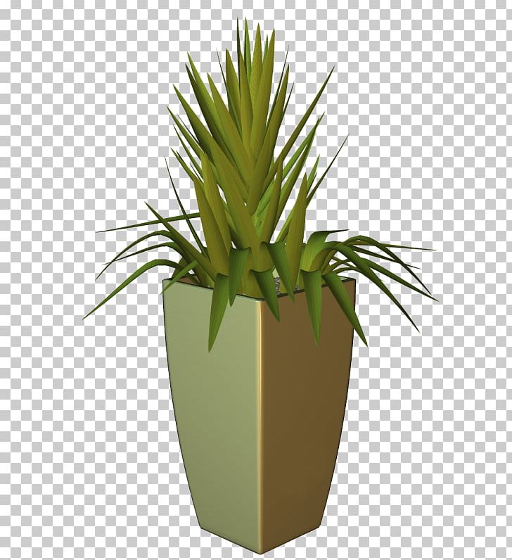 Treelet Houseplant Flowerpot Agave PNG, Clipart, Agave, Fig Trees, Flower, Flowerpot, Food Drinks Free PNG Download