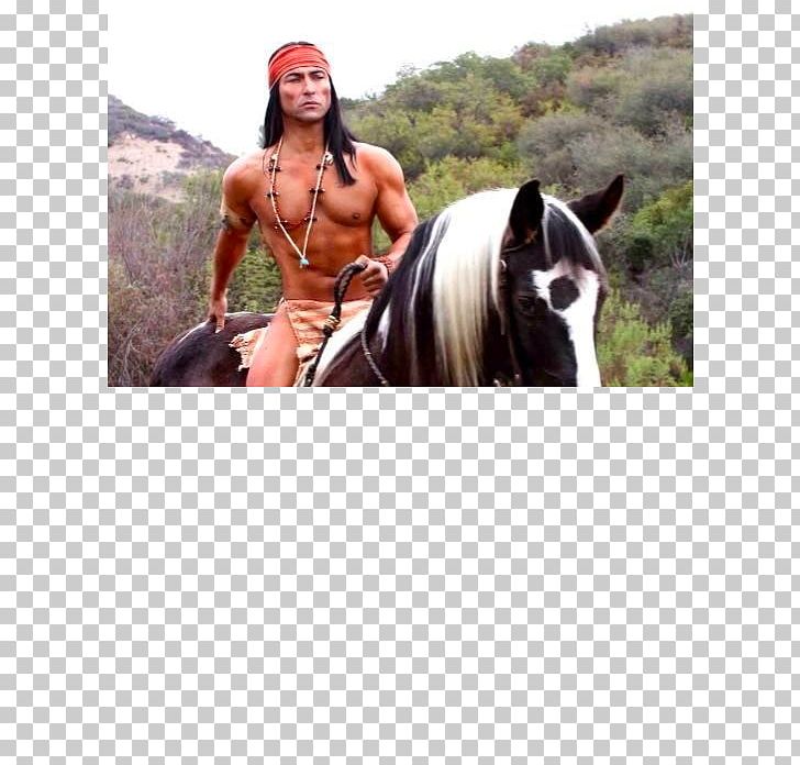native american indian horses