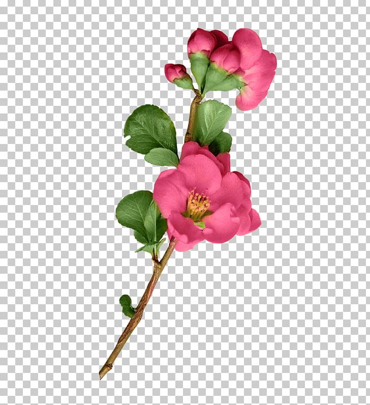 Garden Roses Artificial Flower Cut Flowers Plant Stem PNG, Clipart, Art, Artificial Flower, Blossom, Branch, Bud Free PNG Download